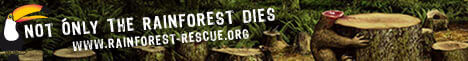 Banner: Not only the rainforest dies