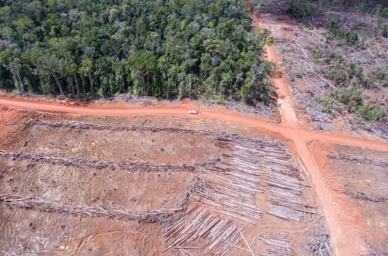 Aerial view: clearing forest for Korindo oil palm plantations in Papua