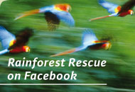 Join us now on Facebook