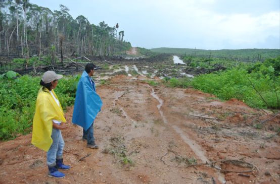 Two farmers look toward a clearing to be planted with oil palms.