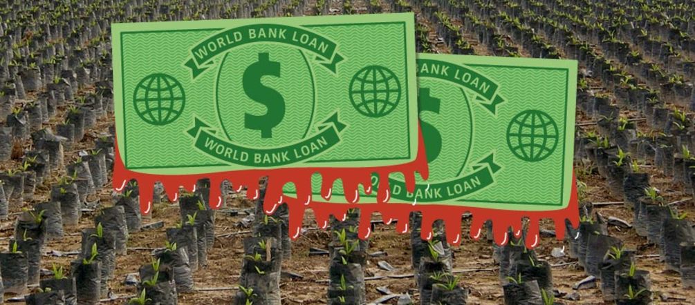 The World Bank finances huge oil palm plantations in Honduras World Bank dollars in front of a palm oil plantation