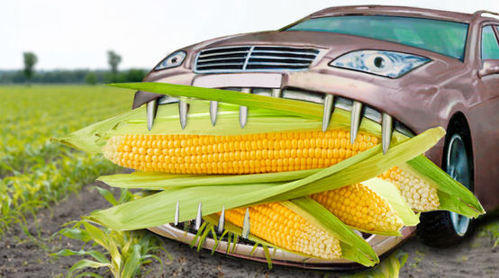 illustrated car eats maize
