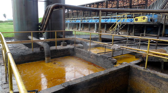 Palm oil mill on Borneo