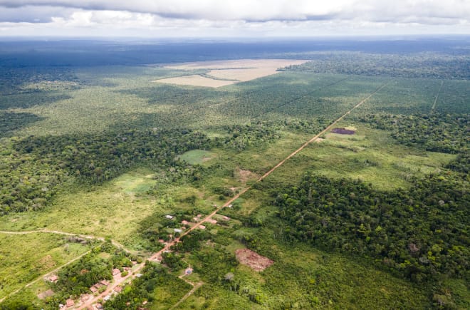 Aerial view of a small village along a straight dirt road, with oil palm plantations cut into the rainforest behind it