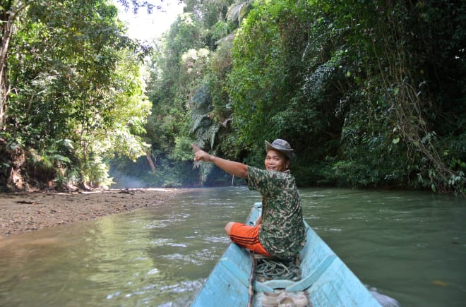 A smiling man at the helm of a small boat points toward the rainforest
