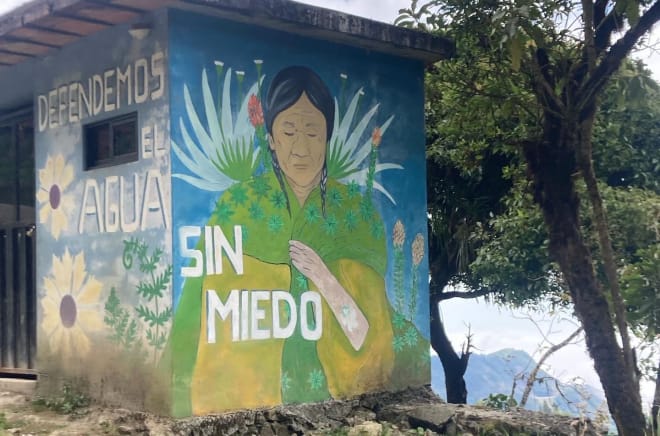A colorful mural of plants and an indigenous woman on the walls of a small building with the inscription: “Let’s defend the water without fear”