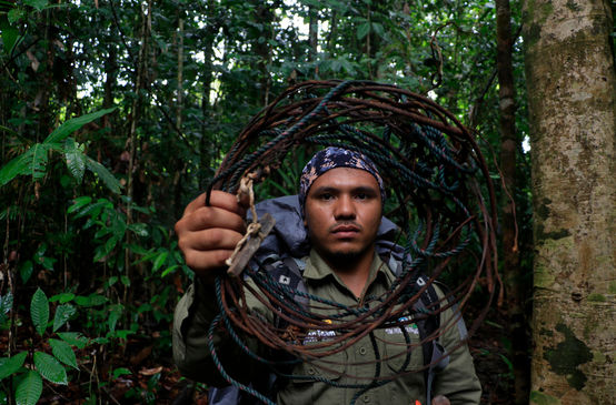 Ranger with a snare he removed in Leuser National Park