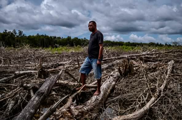Man in a clearing in Wanam, Merauke, southern Papua
