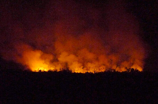 Night shot of forest fire with embers and smoke