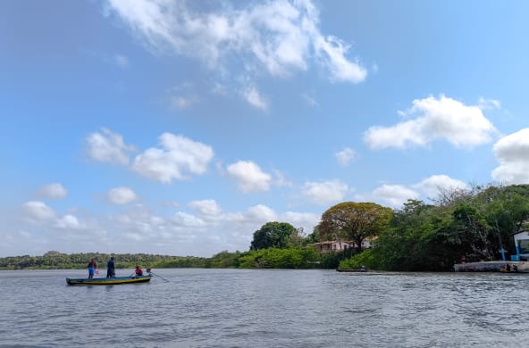 Under a blue sky, a small boat sails out to sea with three fishermen. To the right are small houses in the middle of a forest.