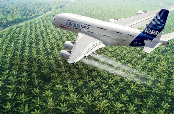 Montage: Airbus A380 over an oil palm plantation