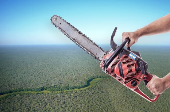 Photomontage: A chainsaw before an aerial view of the Chaco forest
