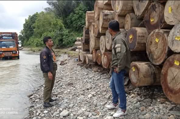 Two men standing in front of a stack of logs and a truck
