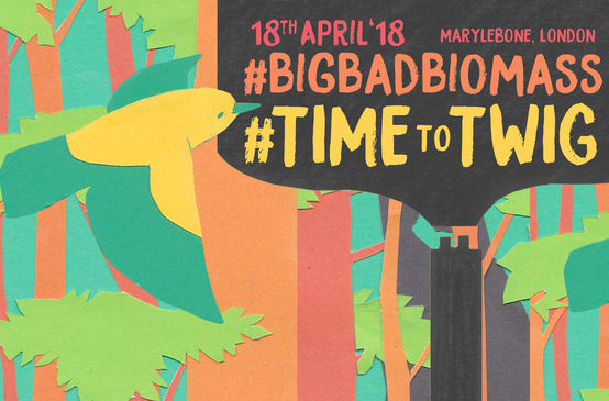 Biofuelwatch #Time to Twig