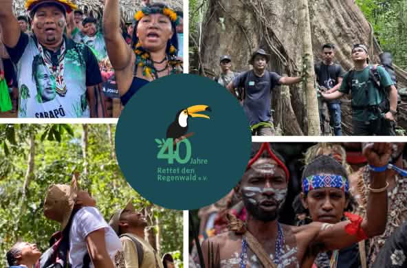 Collage for the 40th anniversary of Rainforest Rescue