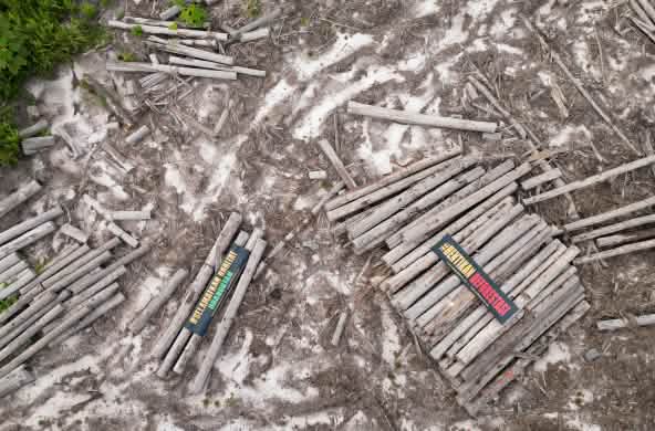 Aerial view of felled tree trunks with banners: “Stop deforestation” and “Save orangutan habitat”