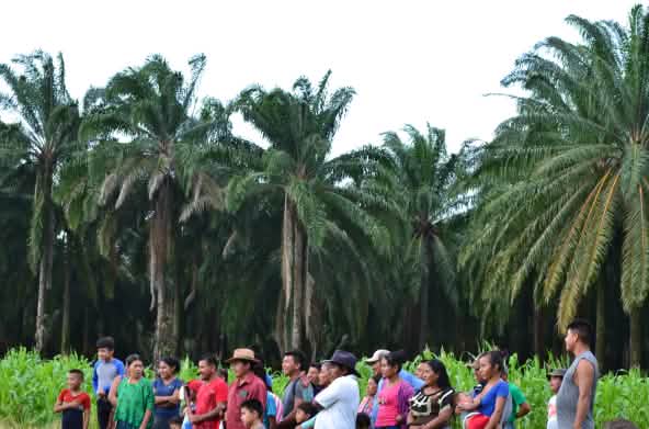 Group of people from the Chapín Abajo community in front of the oil palm plantation surrounding the community