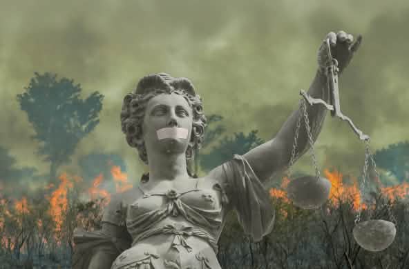 Montage: Justitia in front of a burning rainforest