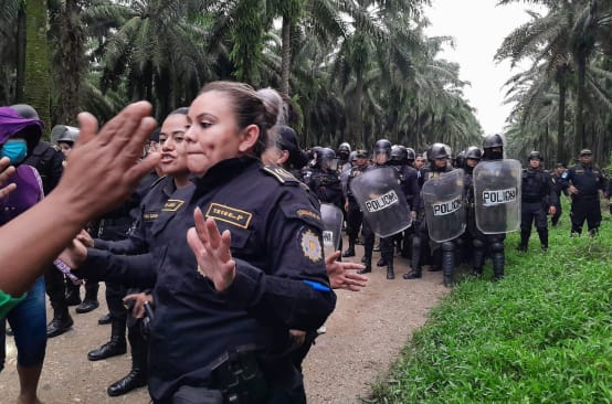 A large group of police in riot gear advance on a dirt road in an oil palm plantation