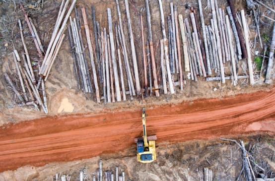 Aerial view: Clearing forest for Korindo oil palm plantations in Papua