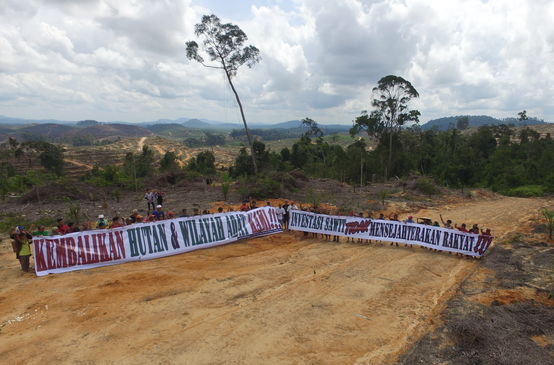 Protesting against oil palm plantations in Borneo