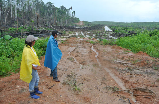 Two Peruvian smallholders in a clearing that will be planted with oil palms