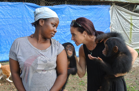 Chimpanzee rescue center near Monrovia, Liberia