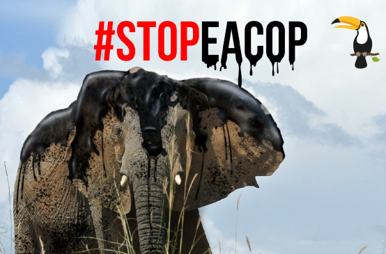 Montage: an elephant coated in crude oil - StopEACOP