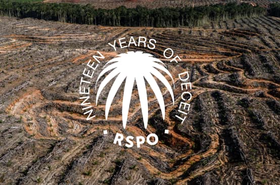 Collage with the RSPO logo and the tagline "19 years of deceit" over a cleared rainforest