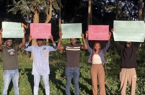 Demonstration against the destruction of the forest