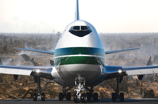 An airliner over torched rainforest