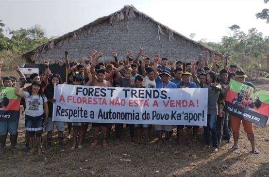 A group of Indigenous people with protest banners in front of a hut covered with palm fronds