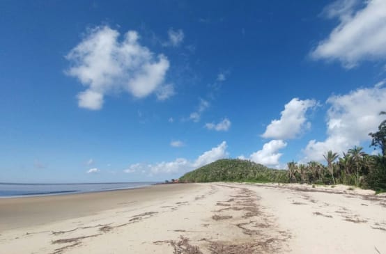 Tropical beach with palm trees on Cajual Island