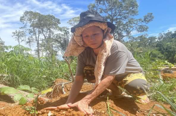 A woman crouching on the ground, planting a seedling