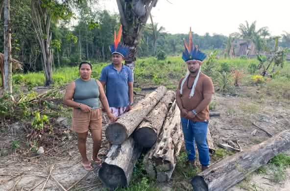 An Indigenous woman and two men wearing feather headdresses stand beside five tree trunks that have been cut down