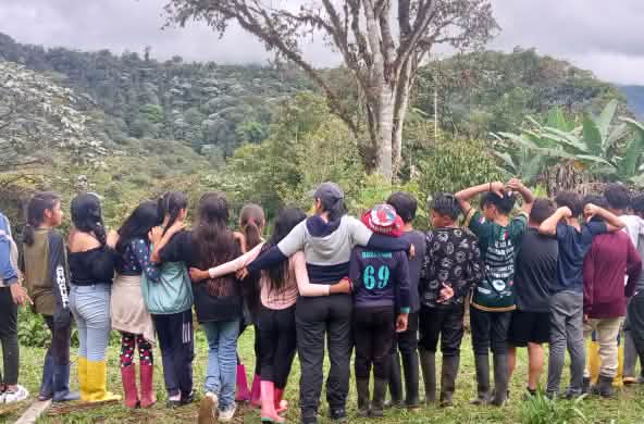About twenty young people lined up in a row look out over the rainforest of Los Cedros