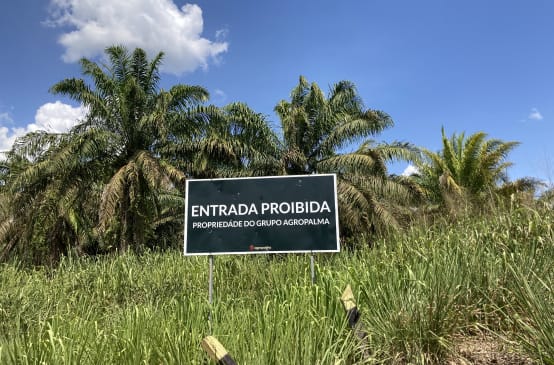Sign of the Agropalma palm oil company on the edge of an oil palm plantation