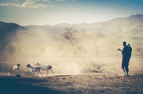 Maasai in Tanzania