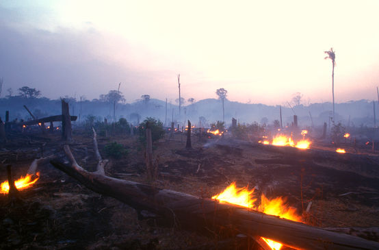 Slash and burn in Brazil