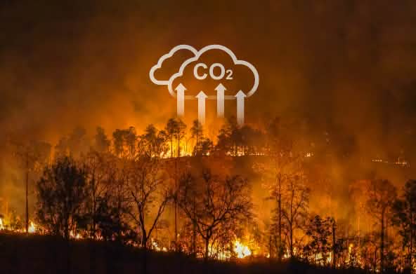 Wildfires and slash-and-burn clearing are driving the global climate crisis