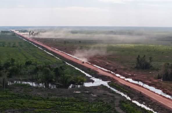 A red track through former rainforest