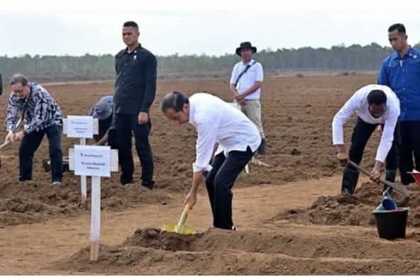 Men with shovels on a bare field