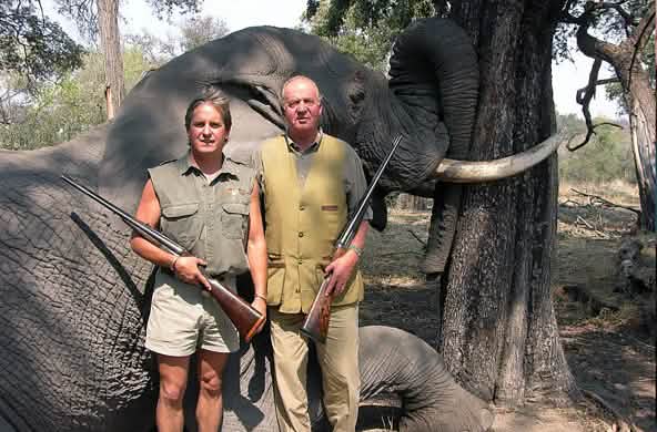 Spain’s head of state Juan Carlos in front of his prey, a shot elephant
