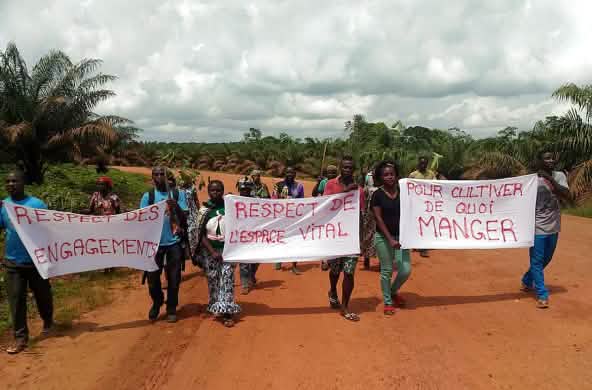 Protest against palm oil company Socfin in Cameroon