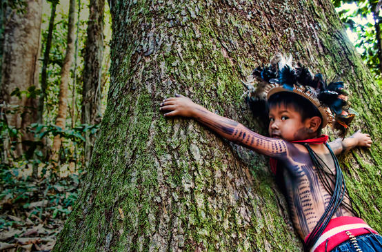 An indigenous Paiter Surui boy, Brazil
