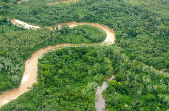 Aerial view of the Peruvian Amazon