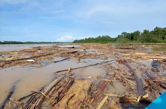 Logjam blocking a river
