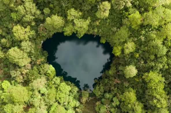 Aerial view of a small heart-shaped cenote with dark water, surrounded by dense green forest