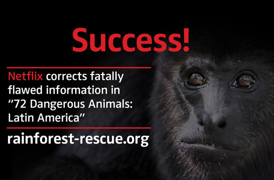 Black howler monkey (Alouatta carayá) with text "Success!"