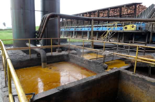 Palm oil mill on Borneo